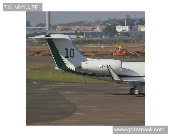 足球球星与私人飞机合影引关注 飞行与绿茵场的完美碰撞